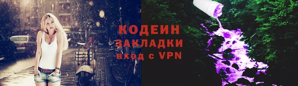 амф Гатчина