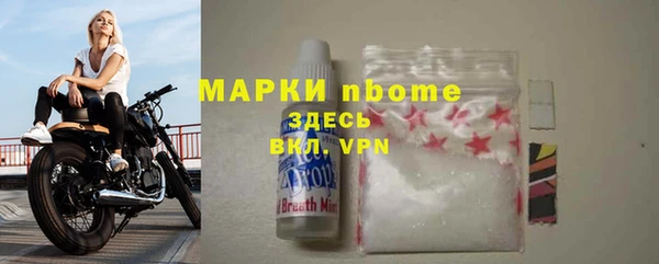 молекула духа Пересвет