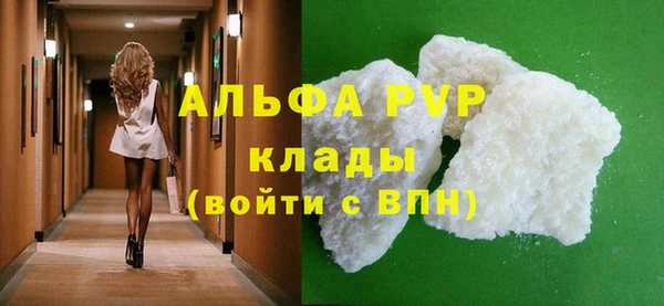молекула духа Пересвет