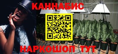 apvp Аргун