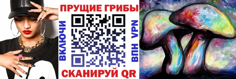 маркетплейс формула  хочу наркоту  Балахна  Псилоцибиновые грибы ЛСД 