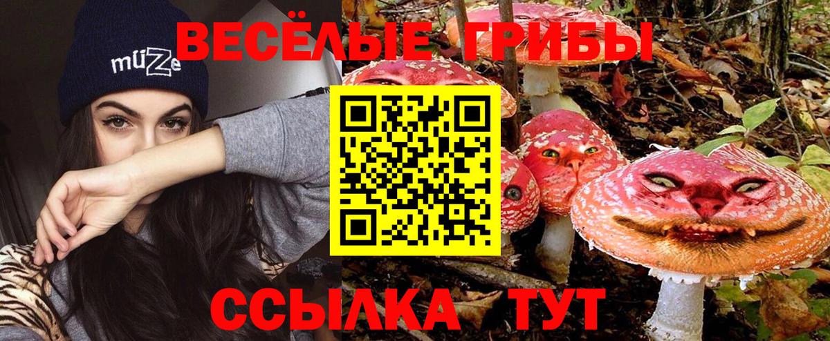 Балахна  Галлюциногенные грибы мухоморы  Вход с VPN  Псилоцибиновые грибы Psilocybe 